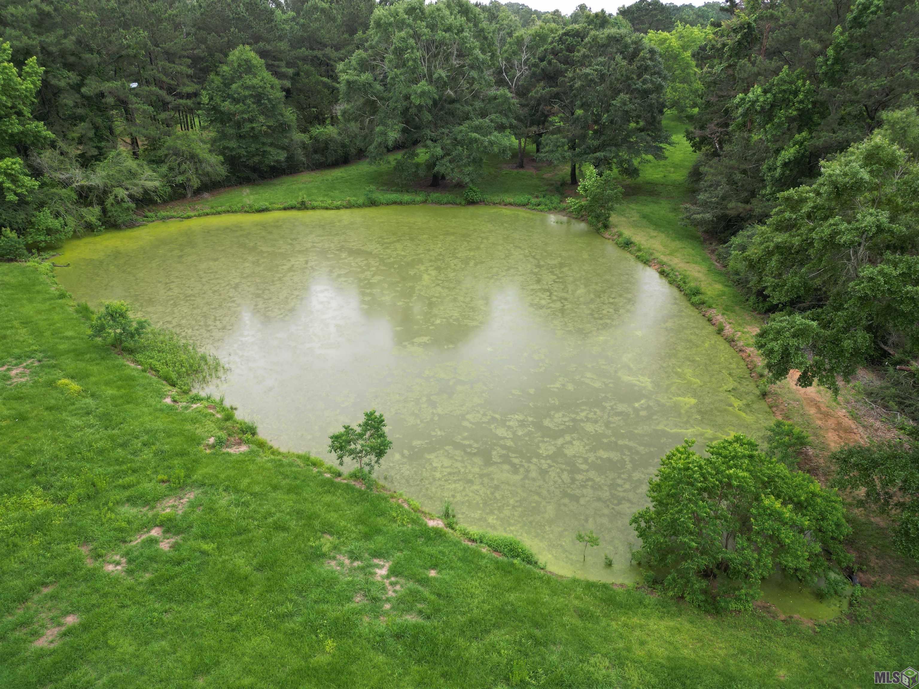 Tbd Megan Road Jackson, LA 70748 - Photo 8 of 17