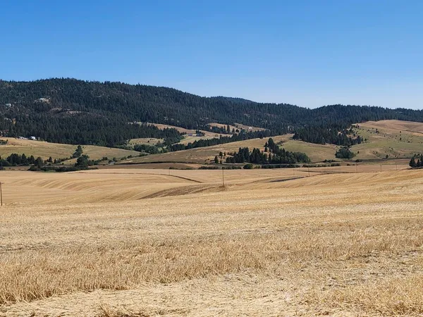 $285,000 | 8004 South Jackson Road, Mica, WA 99023