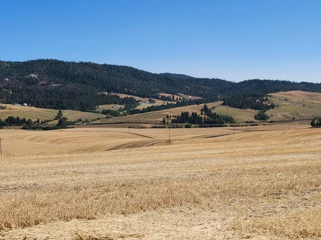 $285,000 | 8004 South Jackson Road, Mica, WA 99023