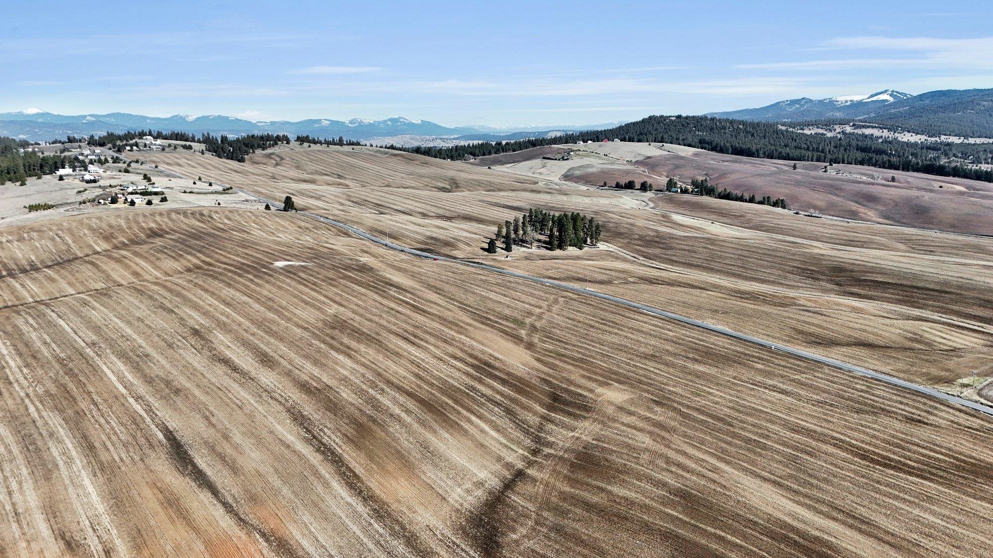 8004 South Jackson Road Mica, WA 99023 - Photo 11 of 11