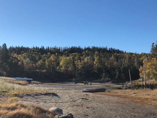Lot 20-2 Smokehouse Road Lubec, ME 04652 - Photo 1 of 5 5