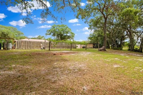 a view of a yard with plants
