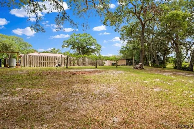 a view of a yard with plants
