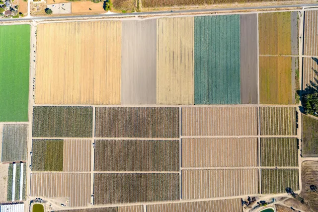 a view of a large building with a mountain in the background