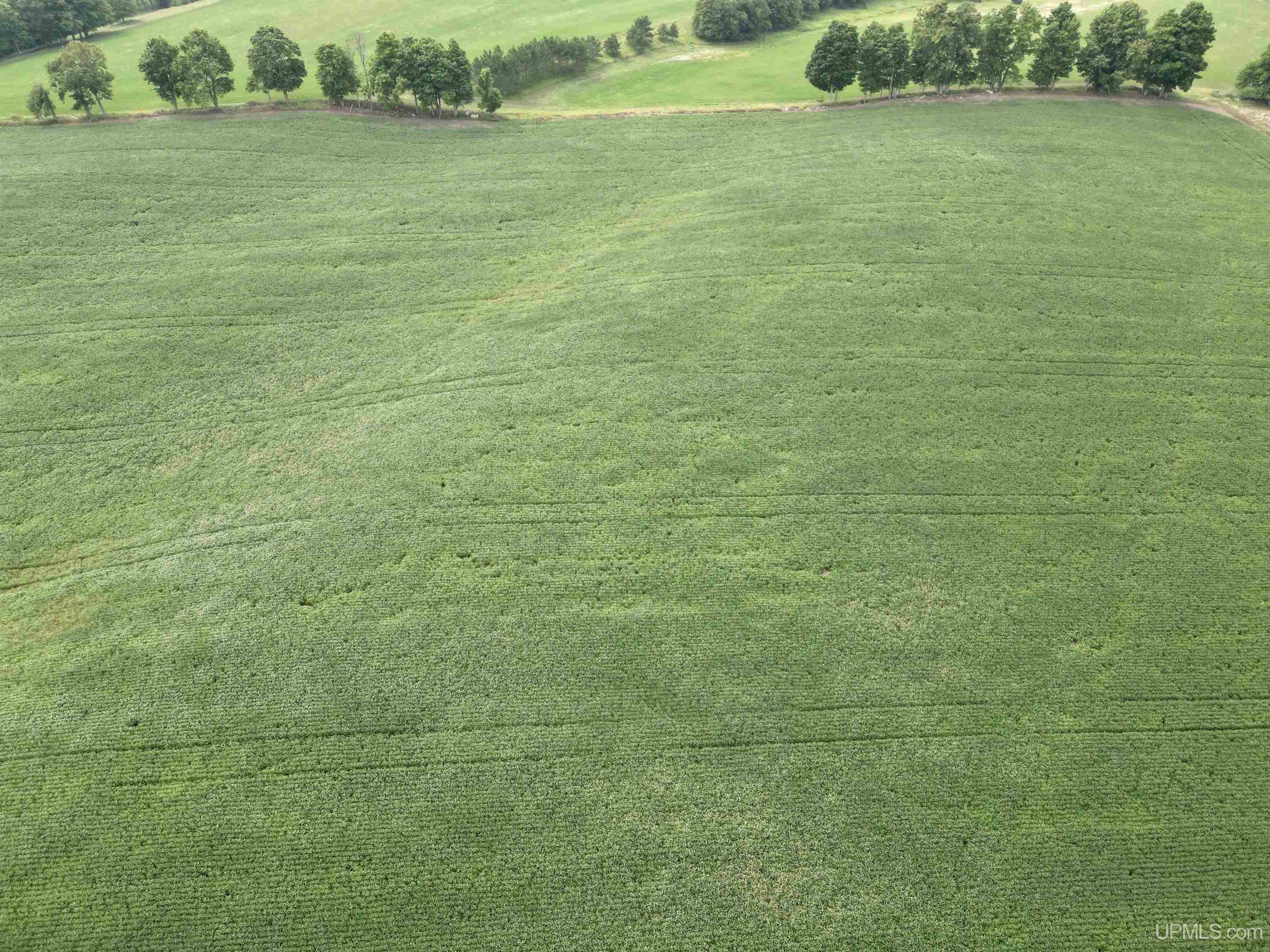 Tbd Tbd Off Guard St Road Carney, MI 49812 - Photo 8 of 13