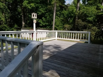 1160 Sheppard Road Orangeburg, SC 29118 - Photo 5 of 23 Photo 5