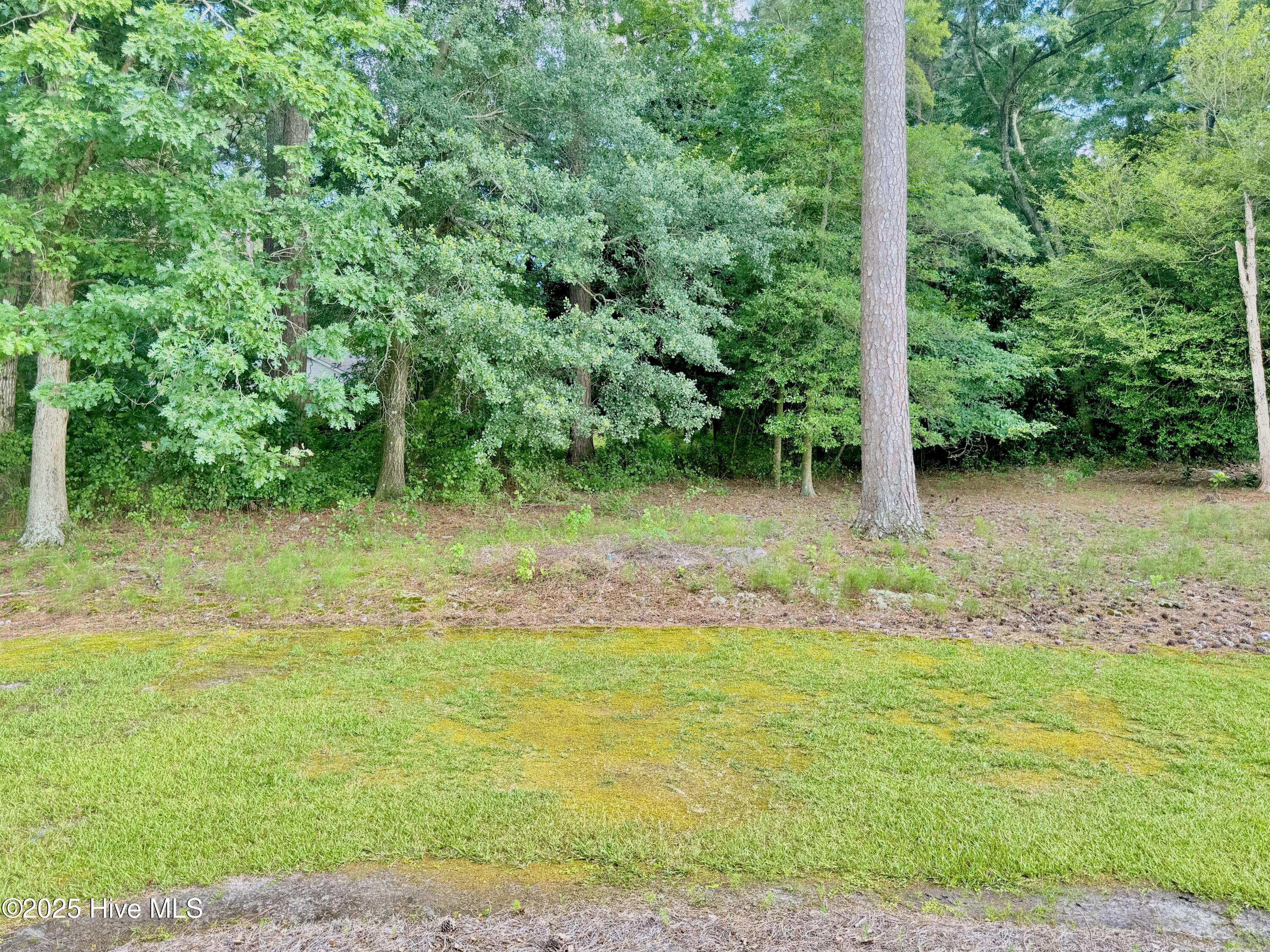 1229 Woodington Road Kinston, NC 28504 - Photo 14 of 92 IMG_4106