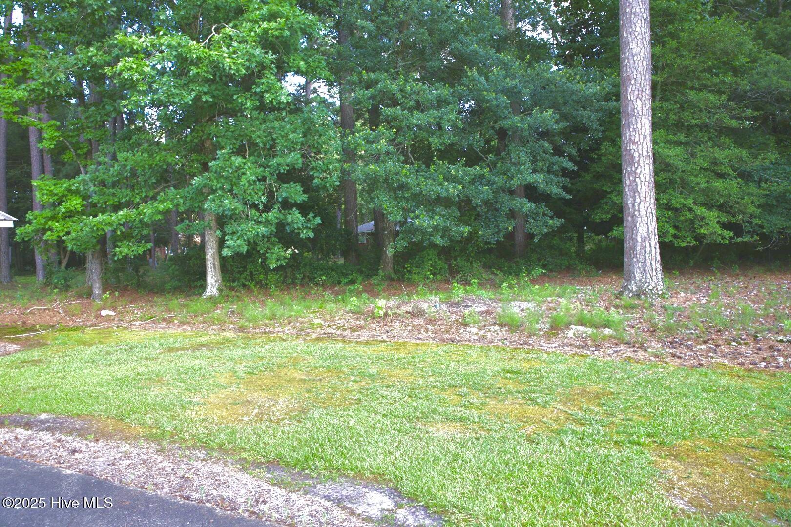1229 Woodington Road Kinston, NC 28504 - Photo 91 of 92 1H5A8871