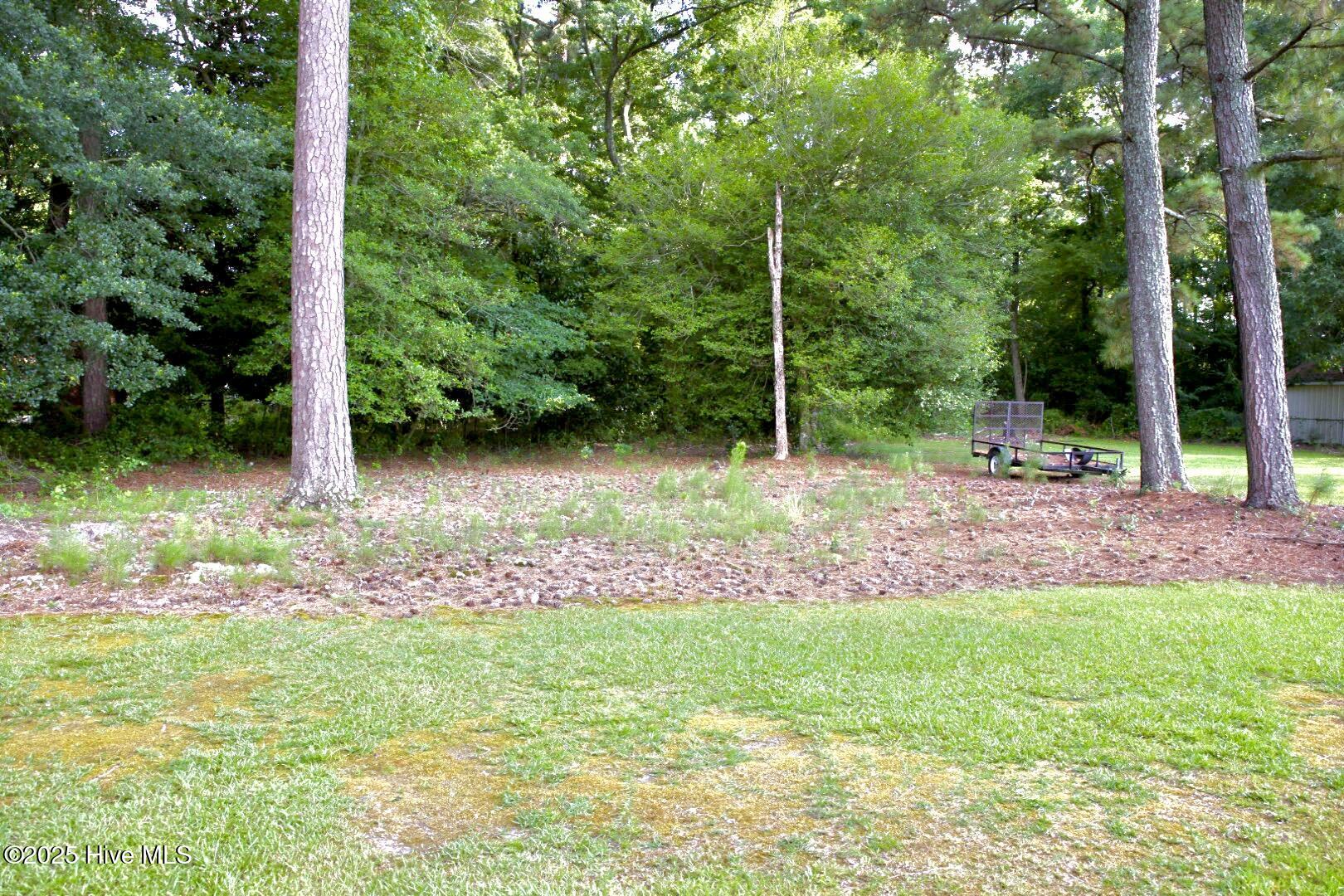 1229 Woodington Road Kinston, NC 28504 - Photo 92 of 92 1H5A8873