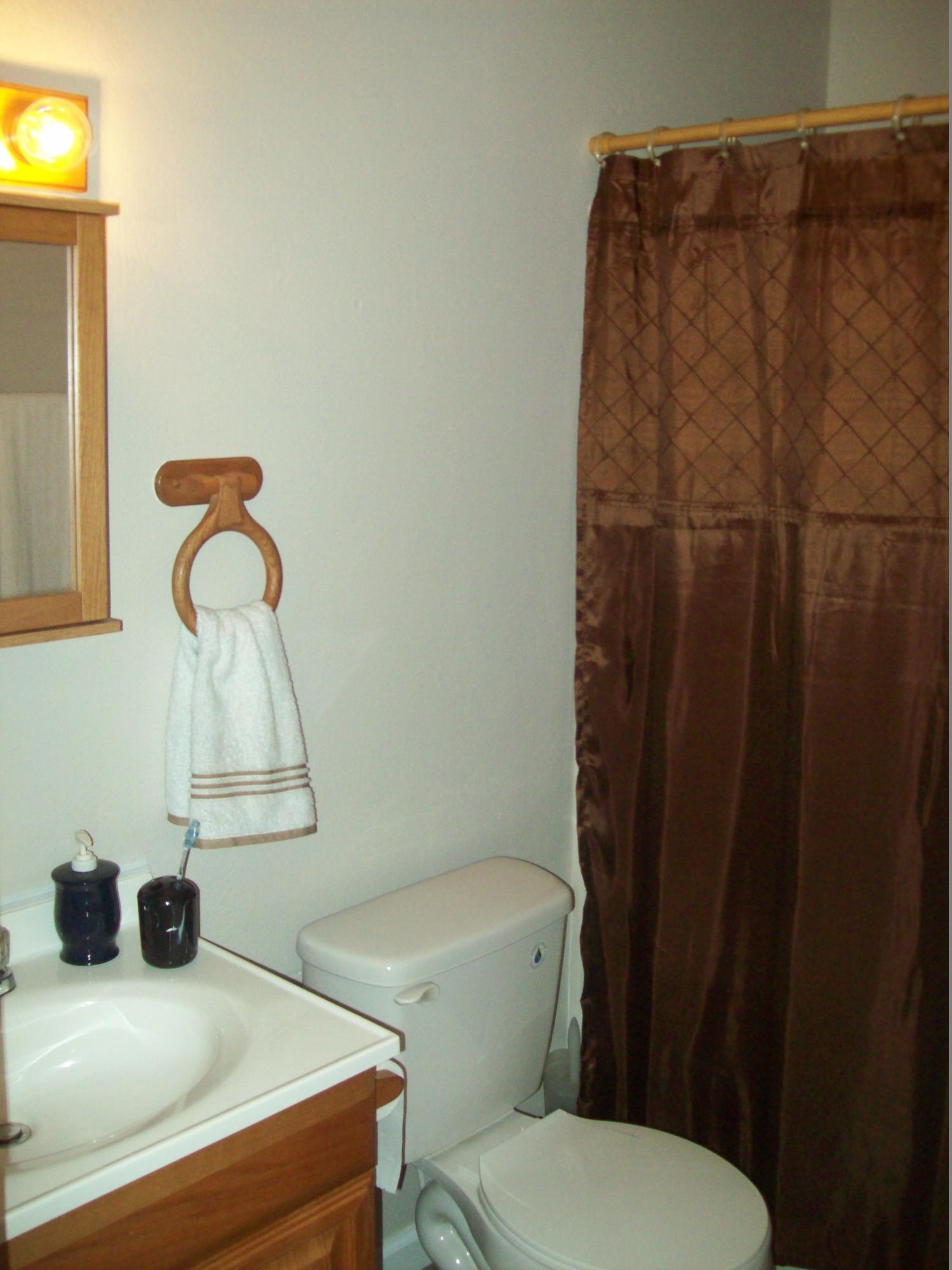 5352 Keffer Road Catawba, VA 24070 - Photo 9 of 17 Full Bath