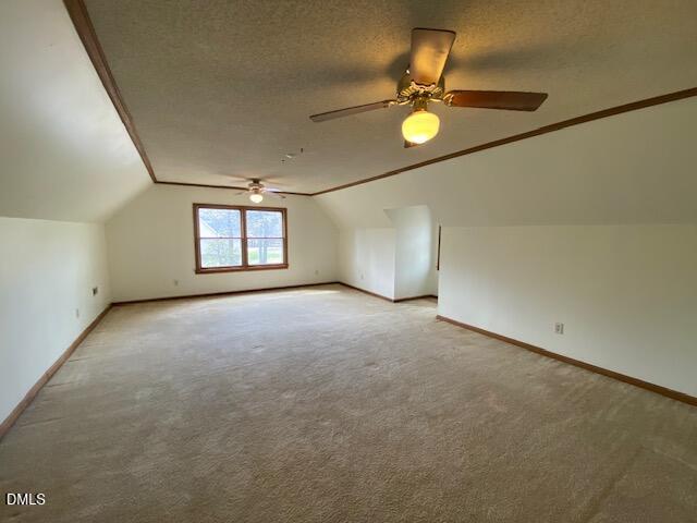 23 South Chaucer Way Kittrell, NC 27544 - Photo 19 of 28 an empty room with windows and entrance