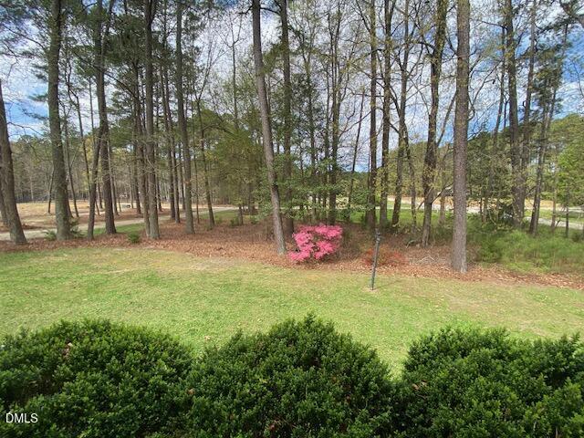 23 South Chaucer Way Kittrell, NC 27544 - Photo 5 of 28 a backyard of a house with table and chairs