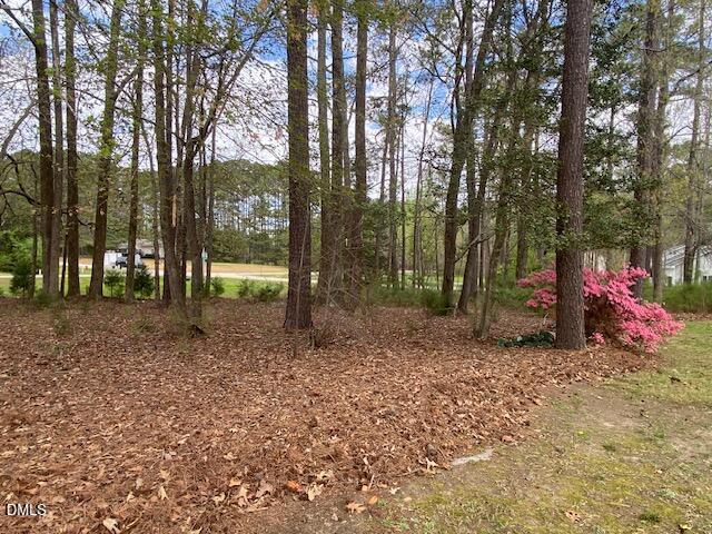 23 South Chaucer Way Kittrell, NC 27544 - Photo 6 of 28 a view of a park with large trees