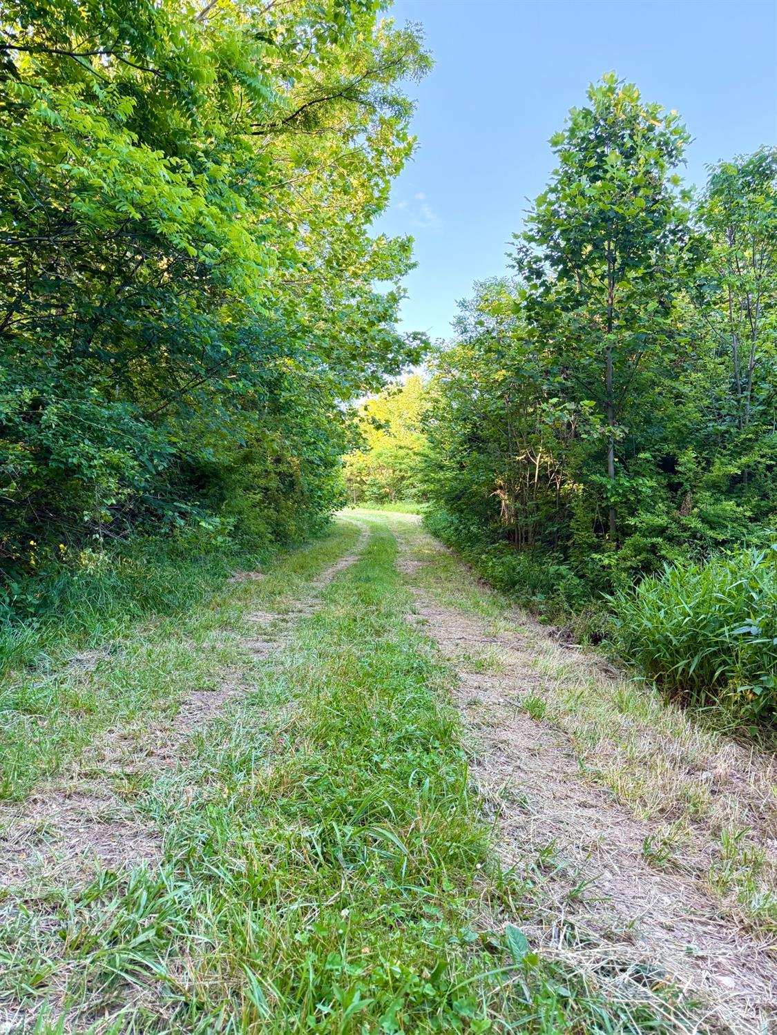 0 North Falls Road Bainbridge, OH 45612 - Photo 60 of 99