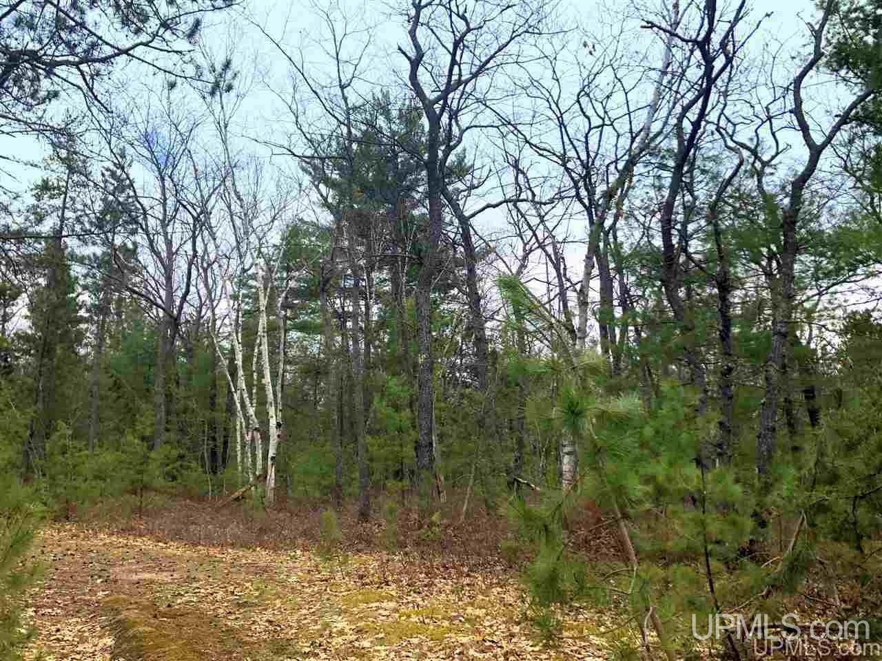 Tbd Valley Road Marquette, MI 49855 - Photo 47 of 59
