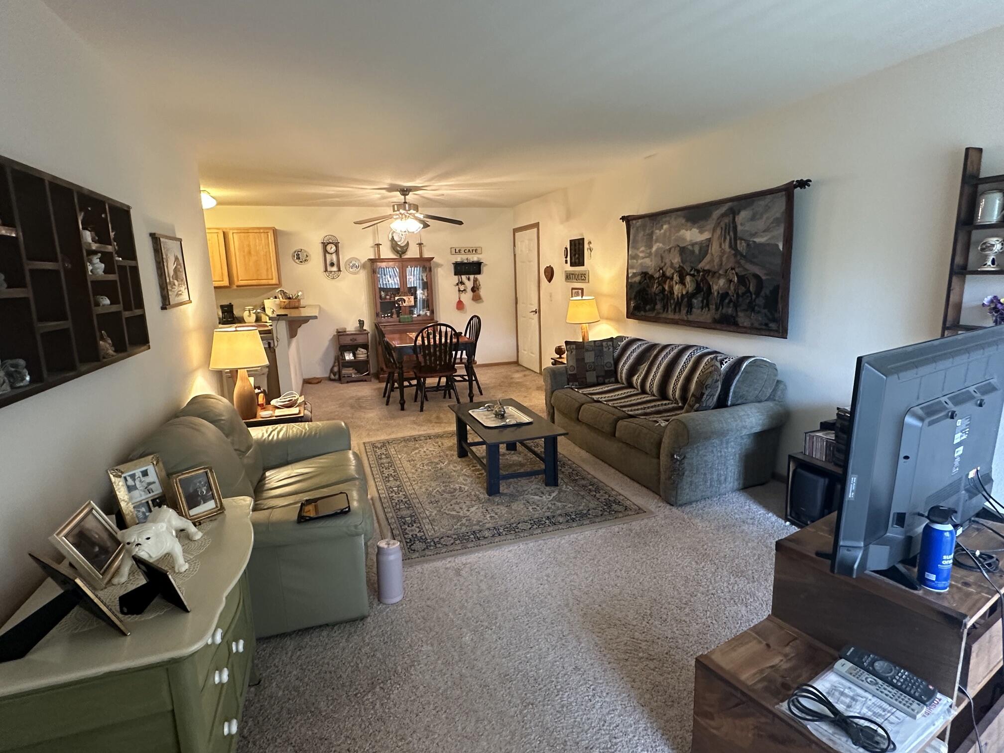 Living room (3)