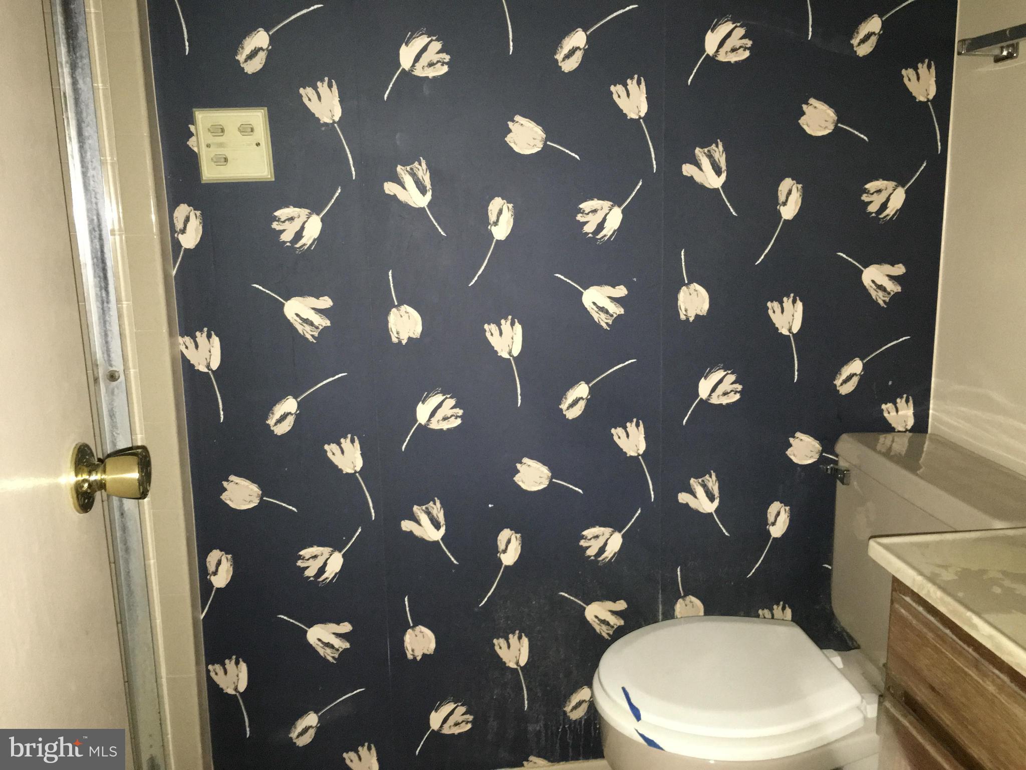 1308 Canyon Road Silver Spring, MD 20904 - Photo 23 of 30 Bath (Master)