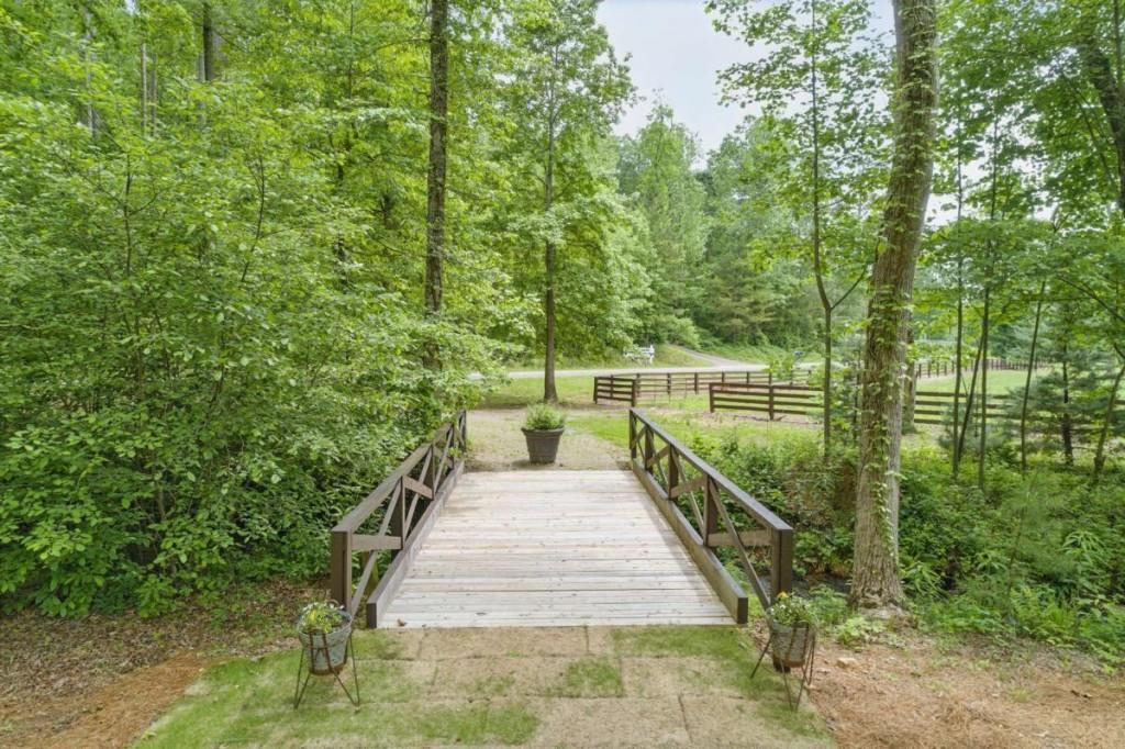 230 Old Mill White Road Jasper, GA 30143 - Photo 65 of 65 a view of a yard with large trees