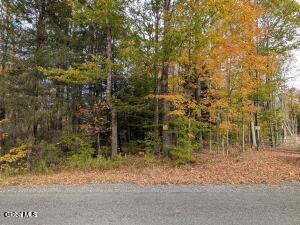 118 Potter Hollow Road Galway, NY 12074 - Photo 1 of 1 Potter Hollow lot from road