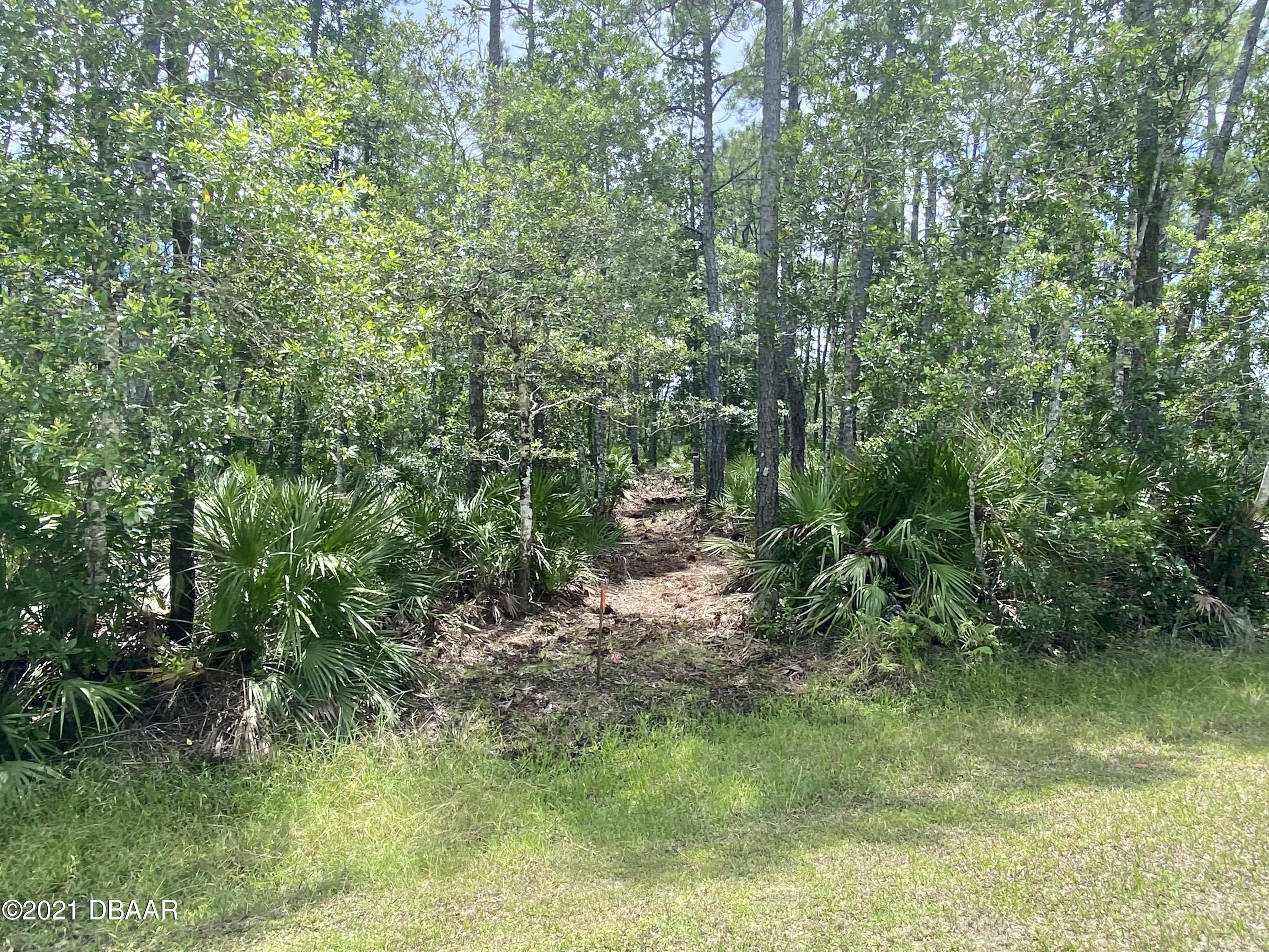3421 Hickory Creek Road Deltona, FL 32738 - Photo 24 of 26 IMG_4501 (1)