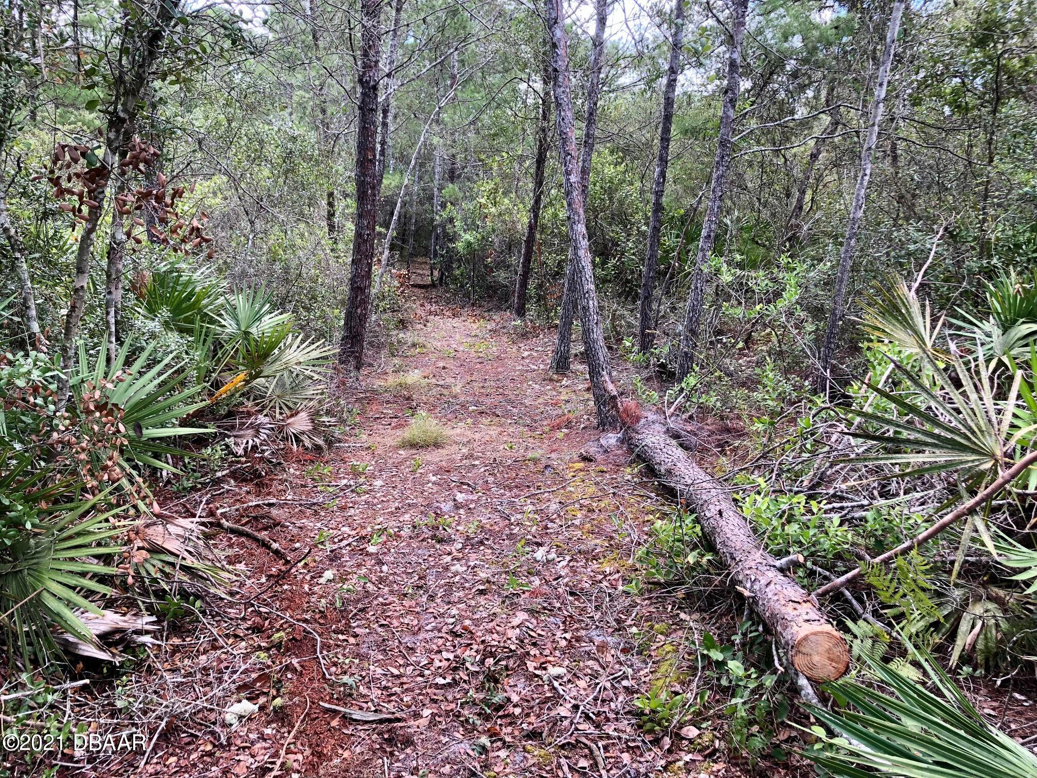 3421 Hickory Creek Road Deltona, FL 32738 - Photo 6 of 26 IMG_4764