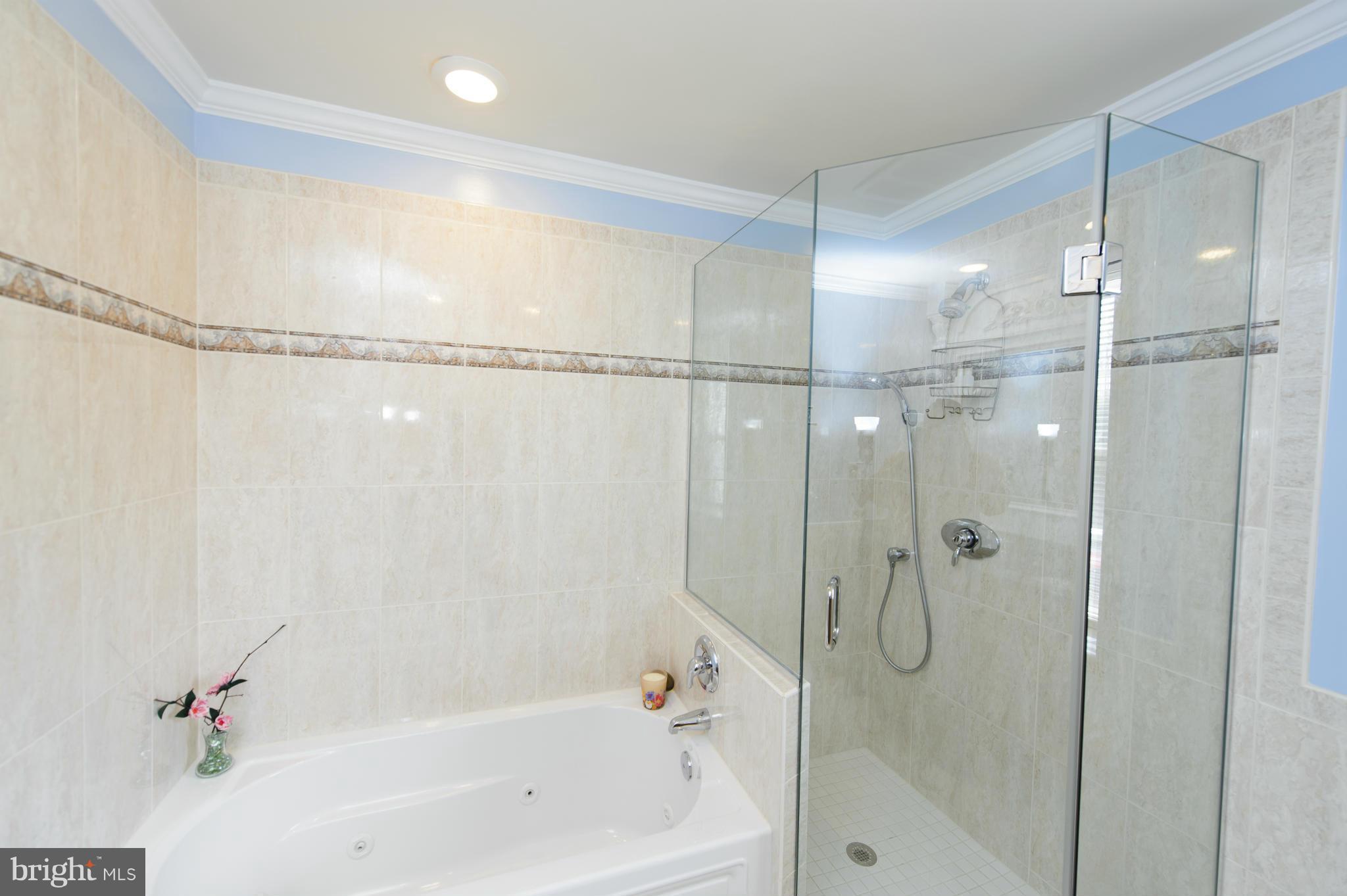 7900 Viola Street Springfield, VA 22152 - Photo 16 of 26 Bath (Master)