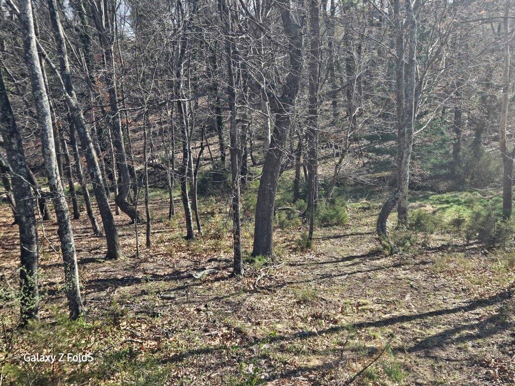 Lot 3 Keagy Road Roanoke, VA 24018 - Photo 6 of 8 1183699814844341744