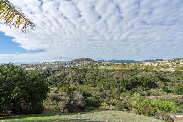 a view of a large yard with lots of trees
