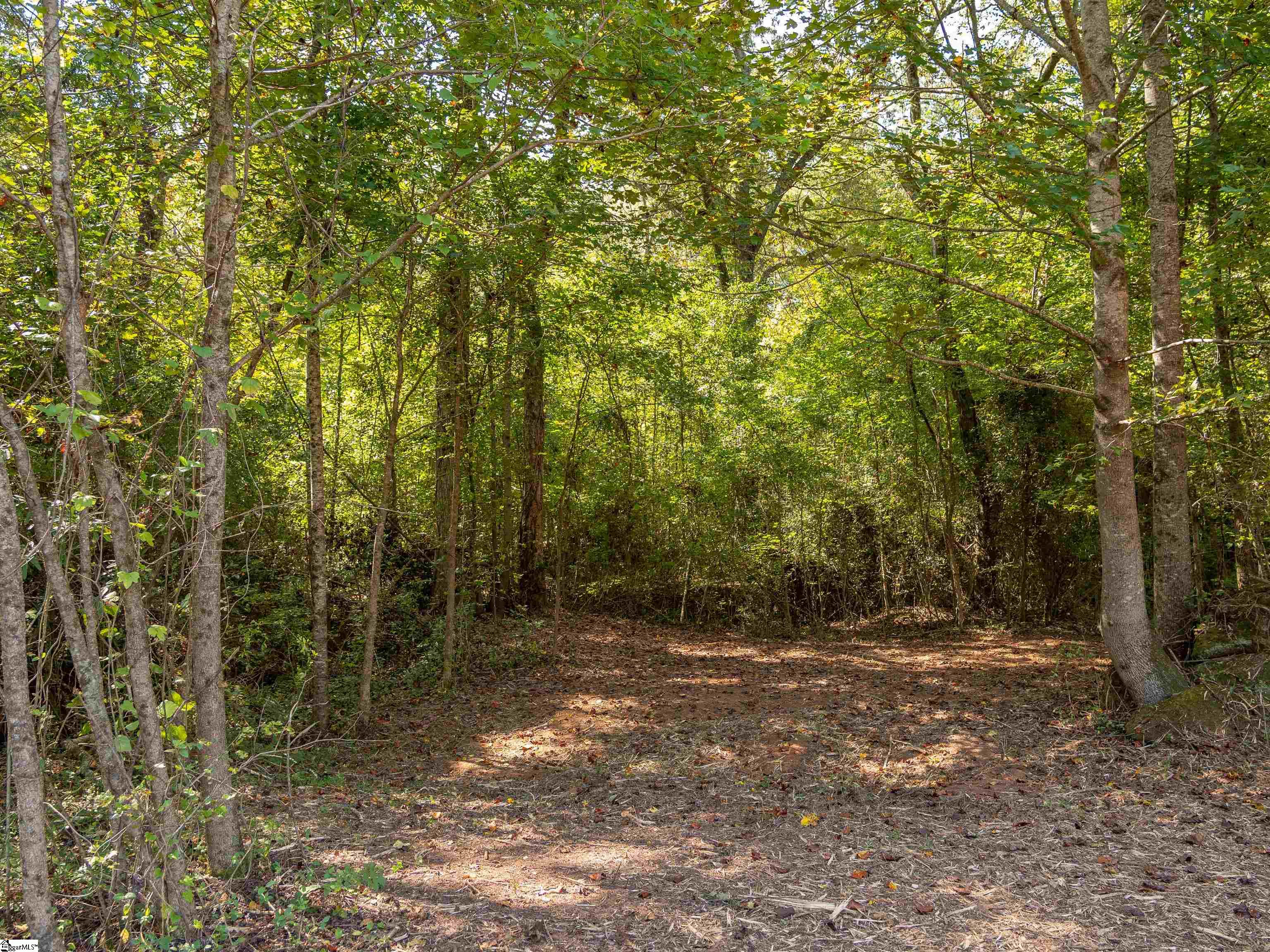 0 Lafrance Road Gate City, VA 24251 - Photo 7 of 32 Gallery Image 7