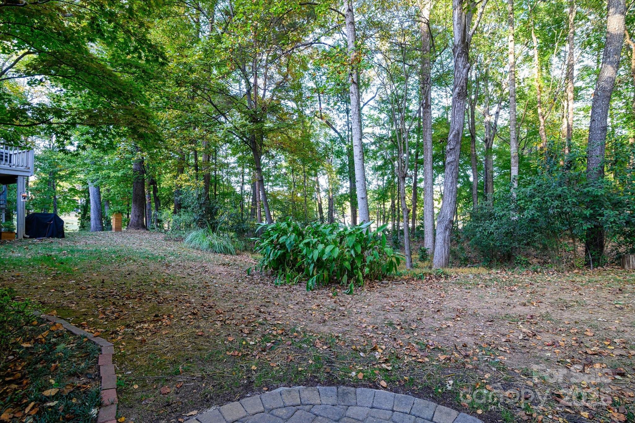 212 Riverview Terrace Clover, SC 29710 - Photo 9 of 48 a view of a yard with plants and trees