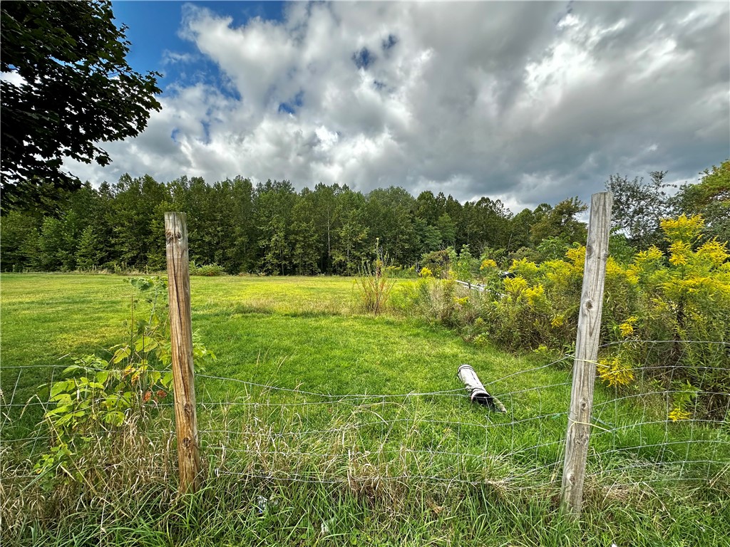 9648 McWhorter Road North Dansville, NY 14437 - Photo 9 of 18