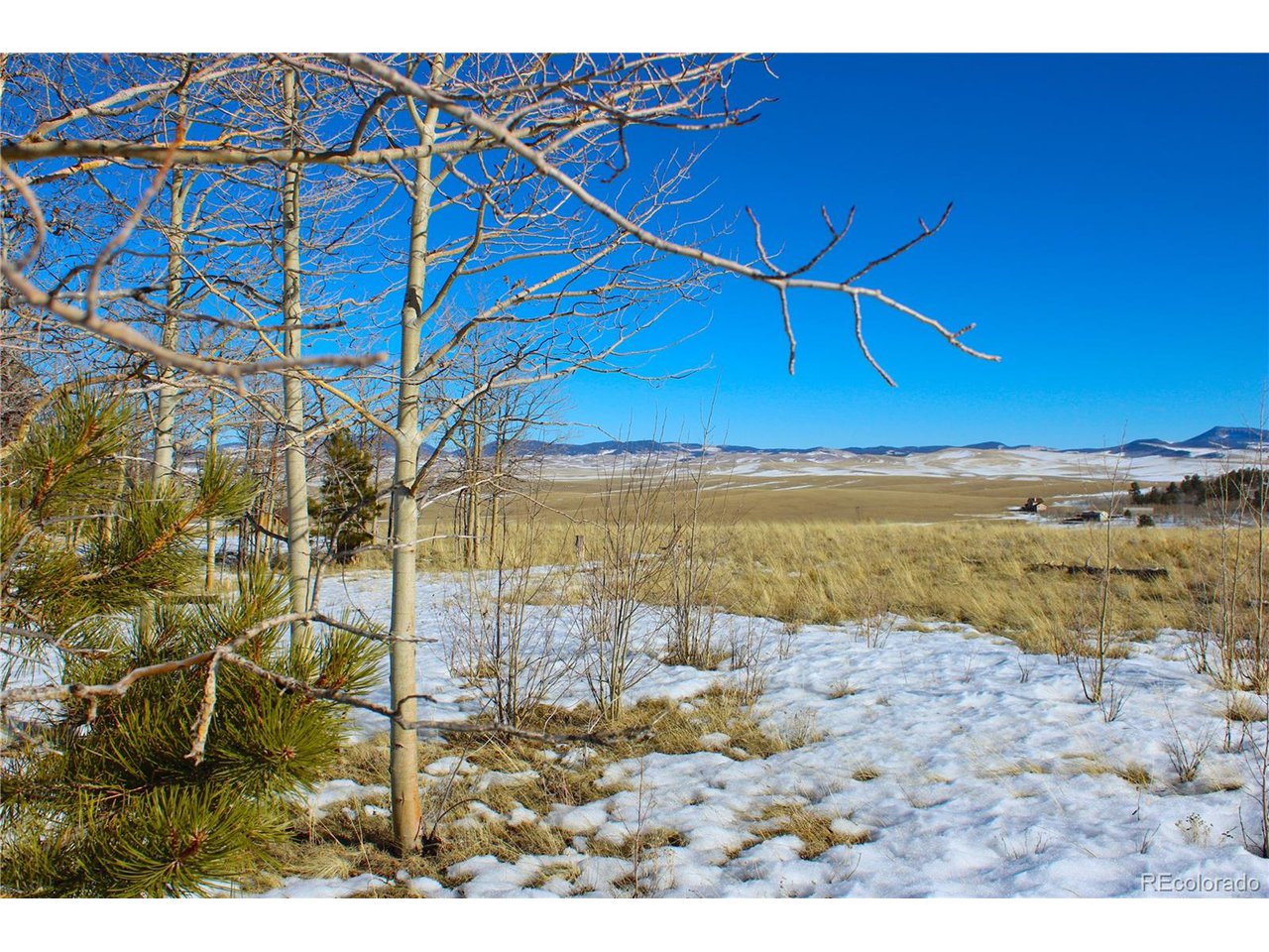 11162 Ranch Road Hartsel, CO 80449 - Photo 11 of 25 Many Trees and Privacy Up Top. Must See!