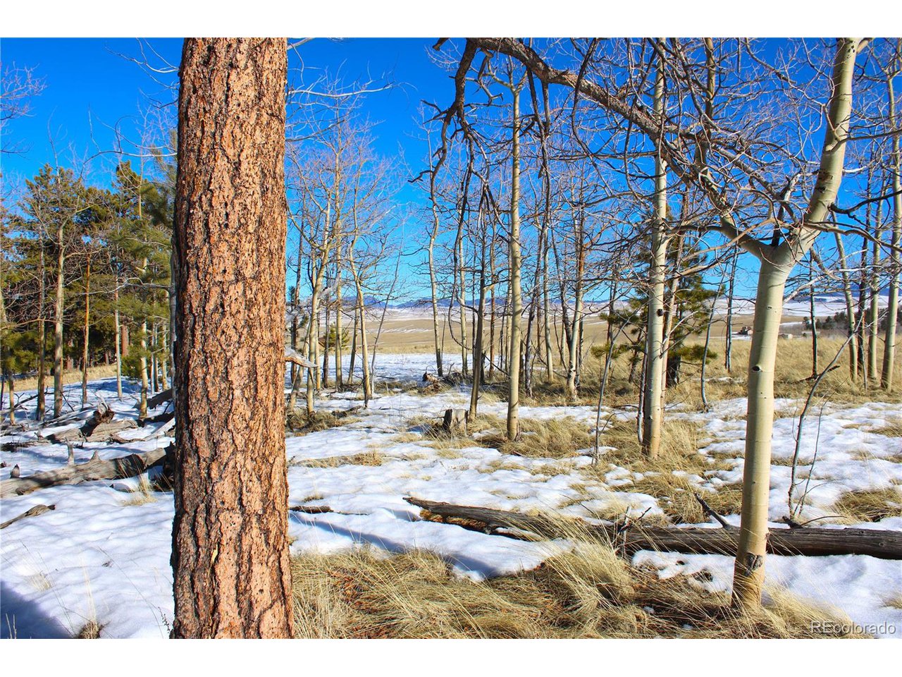 11162 Ranch Road Hartsel, CO 80449 - Photo 12 of 25 Camp or Build right here!
