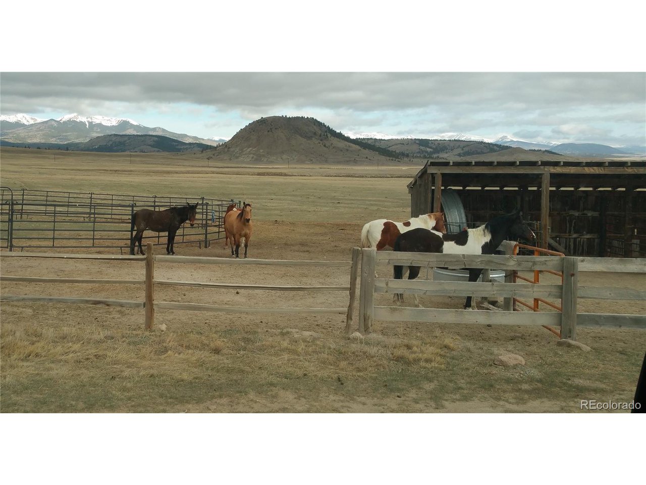11162 Ranch Road Hartsel, CO 80449 - Photo 24 of 25 Horse Boarding Available