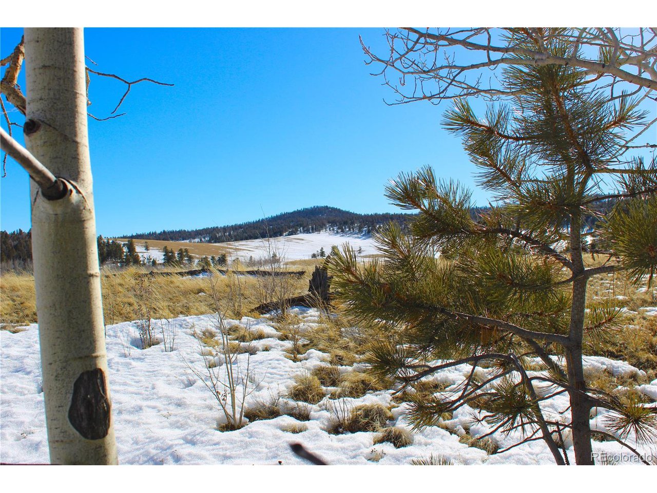 11162 Ranch Road Hartsel, CO 80449 - Photo 3 of 25 Flat Building Site up top!