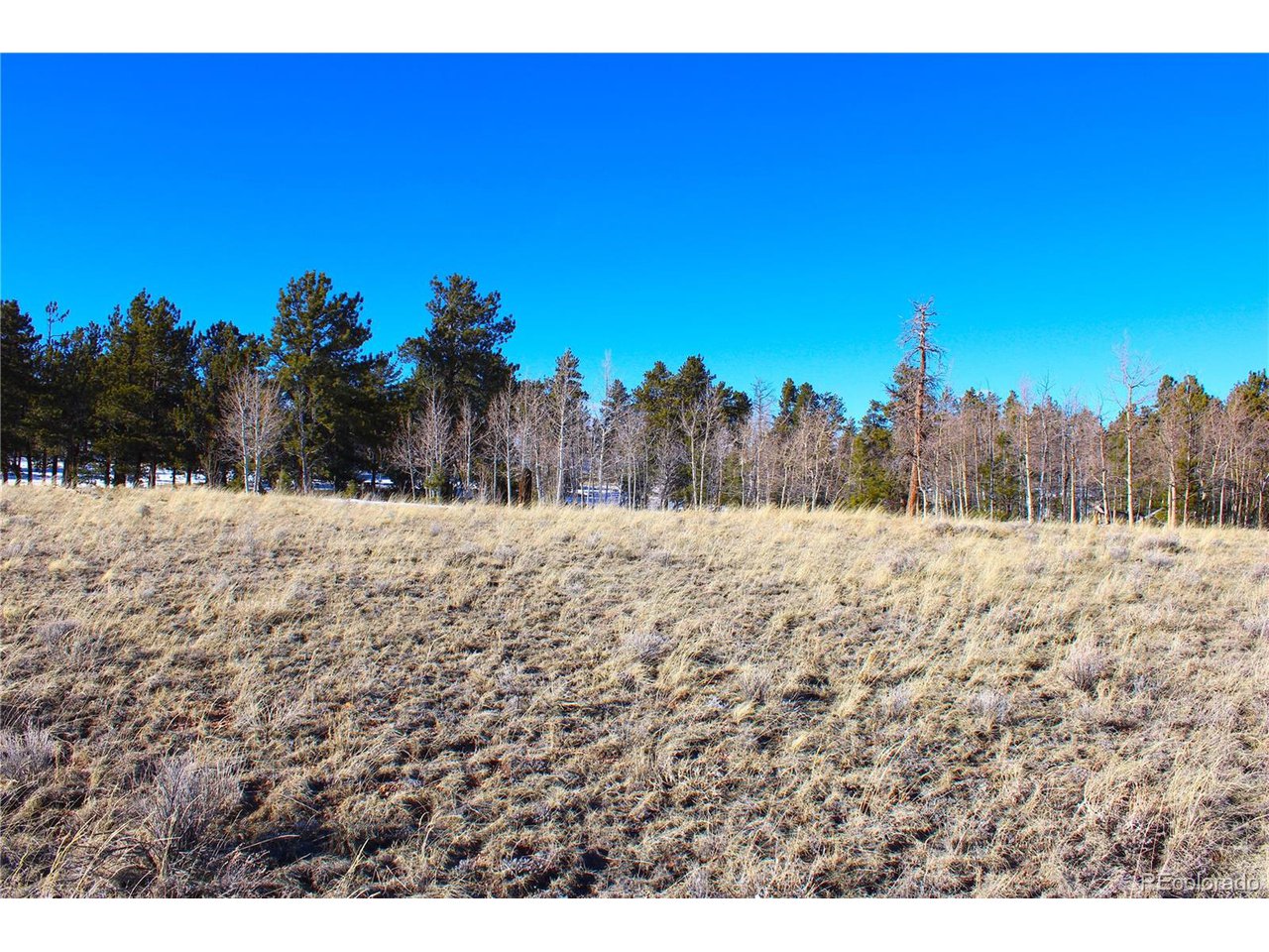 11162 Ranch Road Hartsel, CO 80449 - Photo 7 of 25 You must walk to the back of the property!