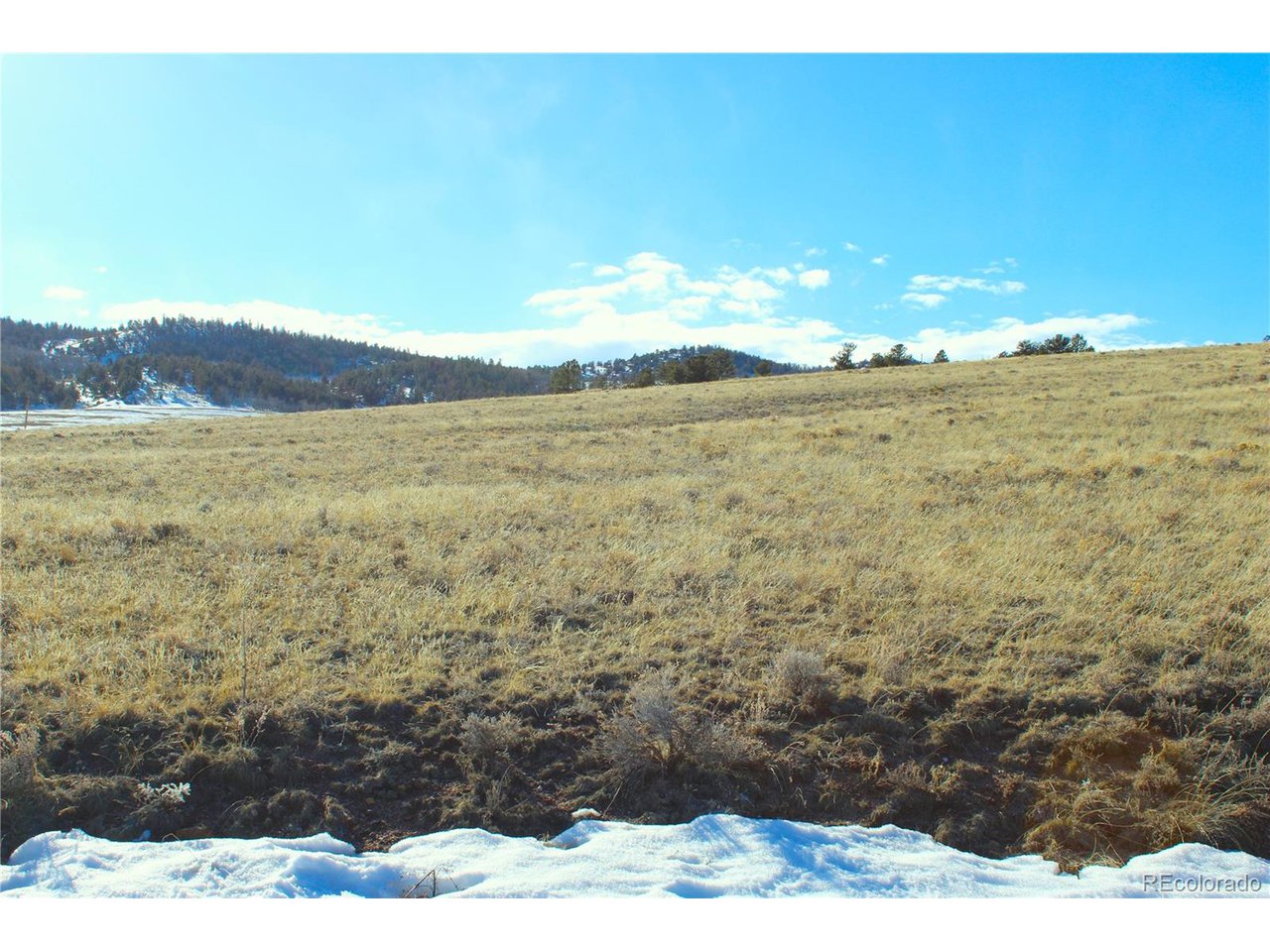 11162 Ranch Road Hartsel, CO 80449 - Photo 8 of 25 Southern Exposure on Gentle Slope! PERFECT!