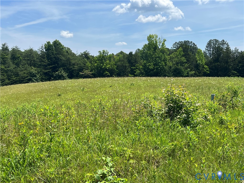 Expansive open field with natural growth and a lus