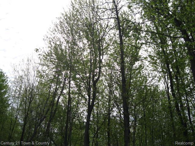 6038 Bordman Road Romeo, MI 48065 - Photo 27 of 32 IMG_3956.jpg