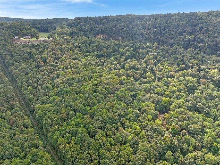 0 Highway 27 Whitwell, TN 37397 - Photo 2 of 11 a view of a forest with a mountain in the background