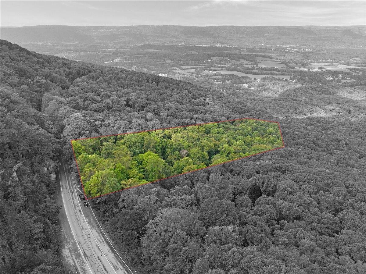0 Highway 27 Whitwell, TN 37397 - Photo 5 of 11 a view of a garden with an outdoor space