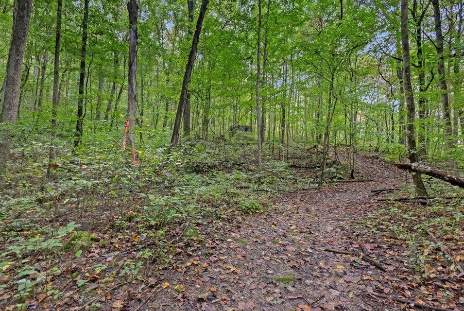 0 Highway 27 Whitwell, TN 37397 - Photo 9 of 11 a view of outdoor space and green space