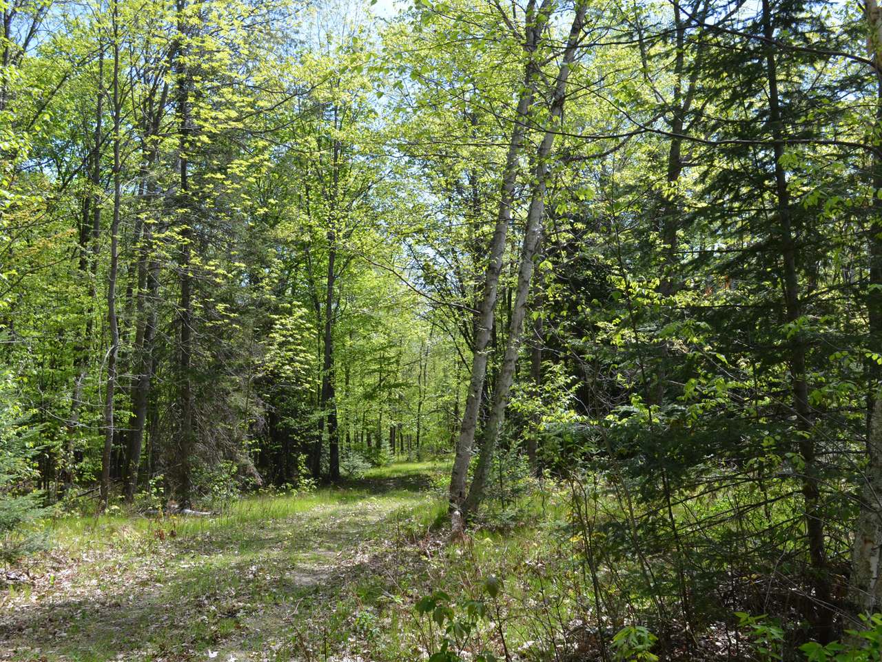 Off Town Rd HH Florence, WI 54121 - Photo 13 of 13 Gallery Image 13