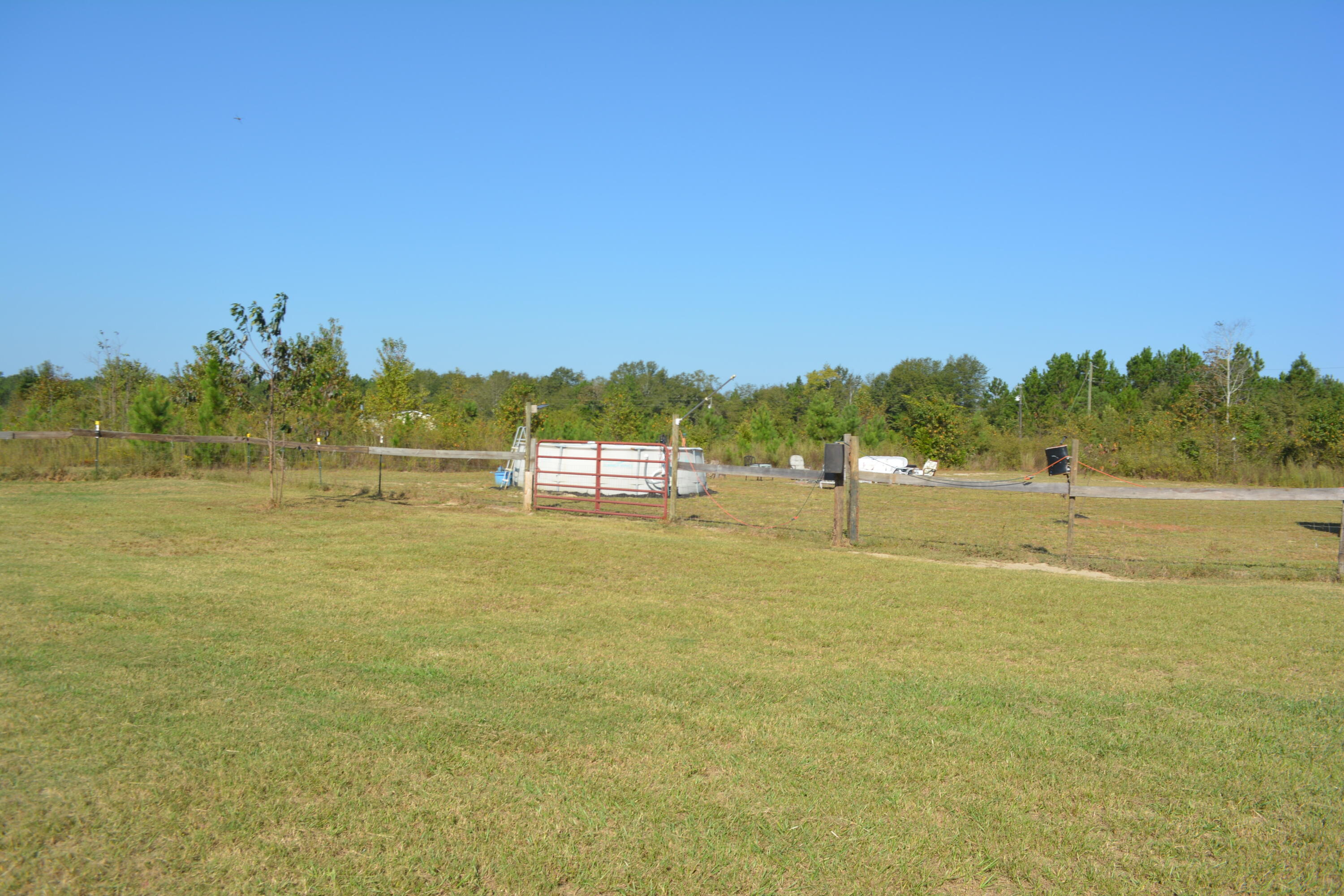 1508 Old Shoals Road Monetta, SC 29105 - Photo 48 of 63
