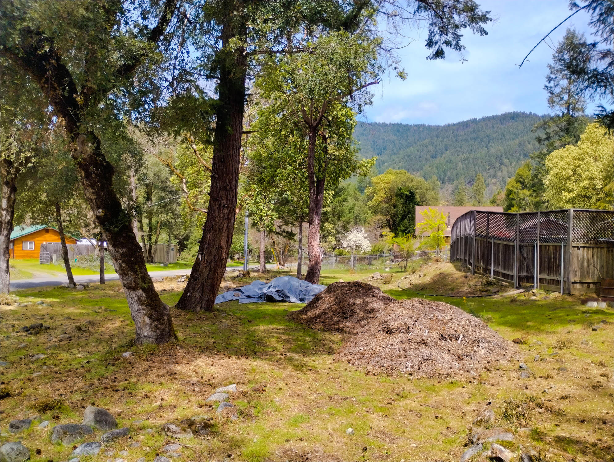 520 Hawkins Bar Road Burnt Ranch, CA 95527 - Photo 38 of 59 HB-36