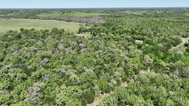 a view of a lake with a mountain in the background