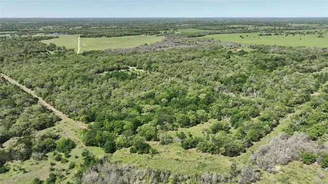 a view of a lake with a mountain