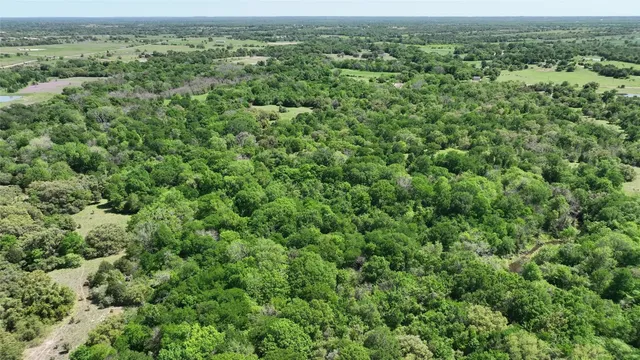 a view of a lake view with a garden
