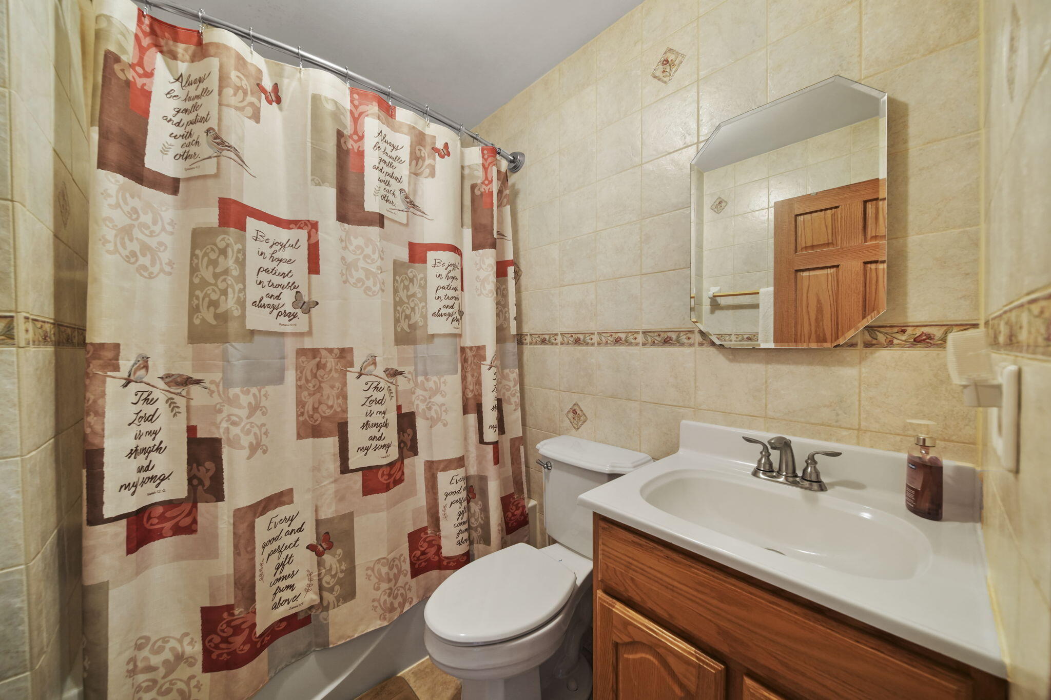 10151 Townsend Road Maybee, MI 48159 - Photo 23 of 75 16-web-or-mls-DSC08529