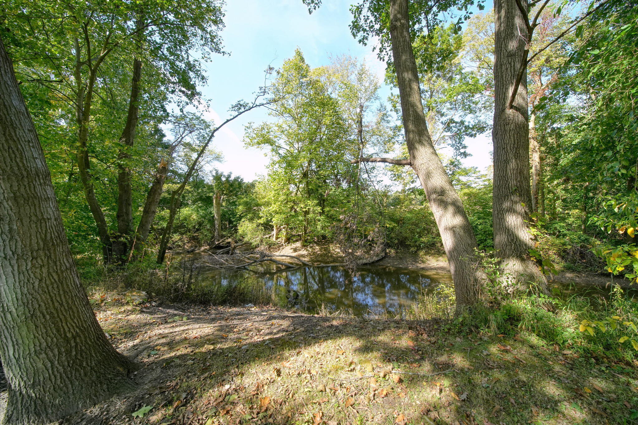 10151 Townsend Road Maybee, MI 48159 - Photo 58 of 75 57-web-or-mls-DSC08750_HDR